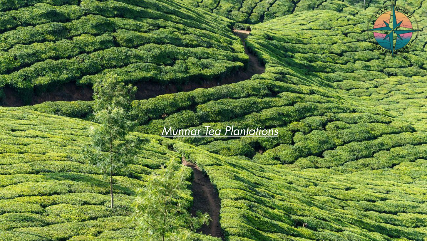 Munnar