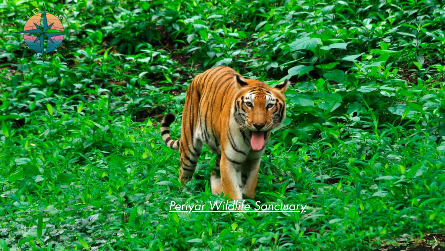 Periyar Wildlife Sanctuary